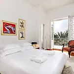 Fancy Modern With Deluxe Interior Split